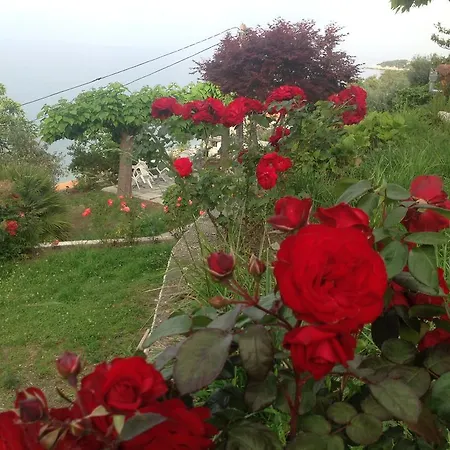 Πανσιόν Opalio Pilio