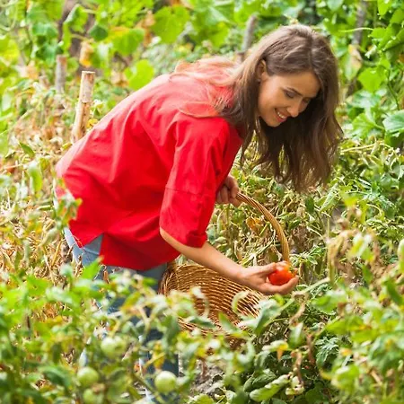 Opalio Pilio Πανσιόν Άγιος Ιωάννης