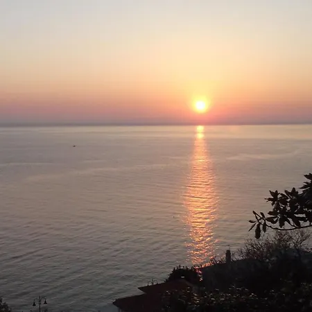 Opalio Pilio Agios Ioannis (Thessaly)