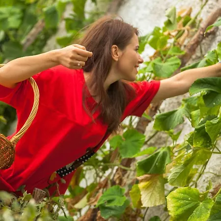 Opalio 3* Agios Ioannis (Thessaly)